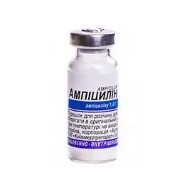Ампіцилін, порошок для розчину для ін'єкцій, флакон 1 г | интернет-аптека Farmaco.ua