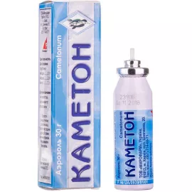 Каметон, аэрозоль, 30 г | интернет-аптека Farmaco.ua
