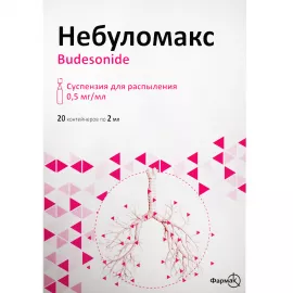 Небуломакс, суспензія для розпилення, контейнер 2 мл, 0.5 мг/мл, №20 | интернет-аптека Farmaco.ua