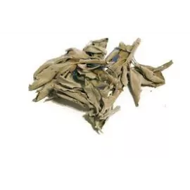 Шалфея листья, 40 г | интернет-аптека Farmaco.ua