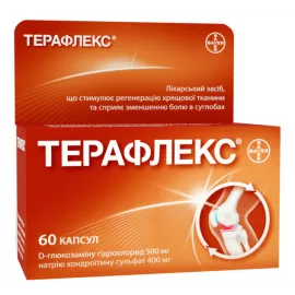 Терафлекс, капсули, №60 | интернет-аптека Farmaco.ua